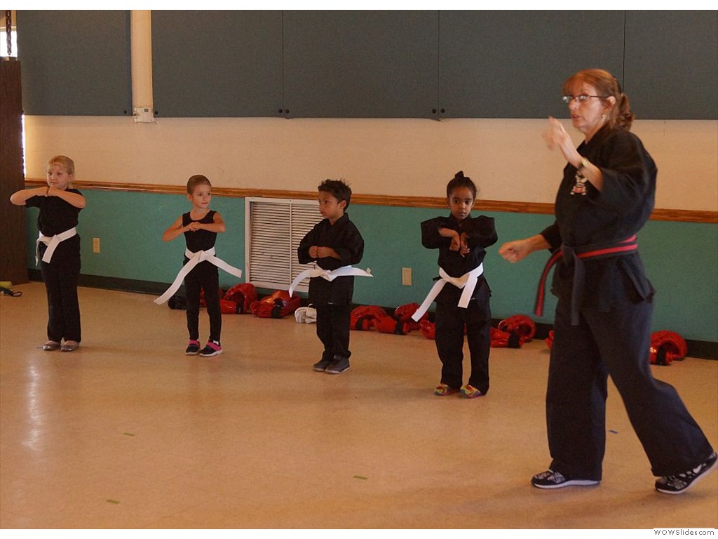 EHS karate 1