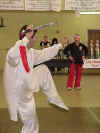 KungFuKata.jpg (52245 bytes)