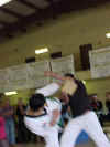 TaeKwondo.jpg (37148 bytes)