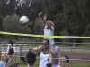 volleyball game.jpg (78469 bytes)