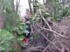 J & C IN WOODS (2).JPG (56235 bytes)